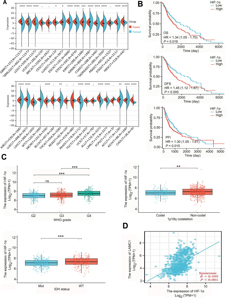 PMC11056071 – Fig8