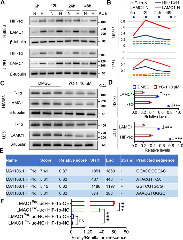 PMC11056071 – Fig9
