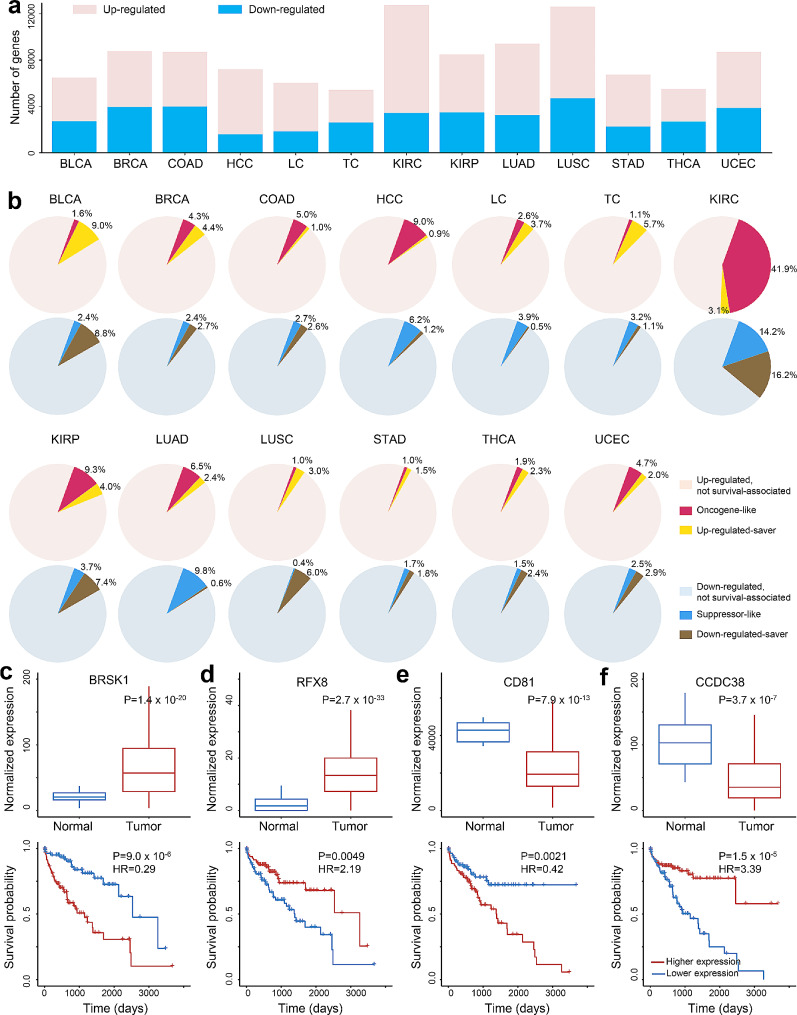 PMC11134716 – Fig1