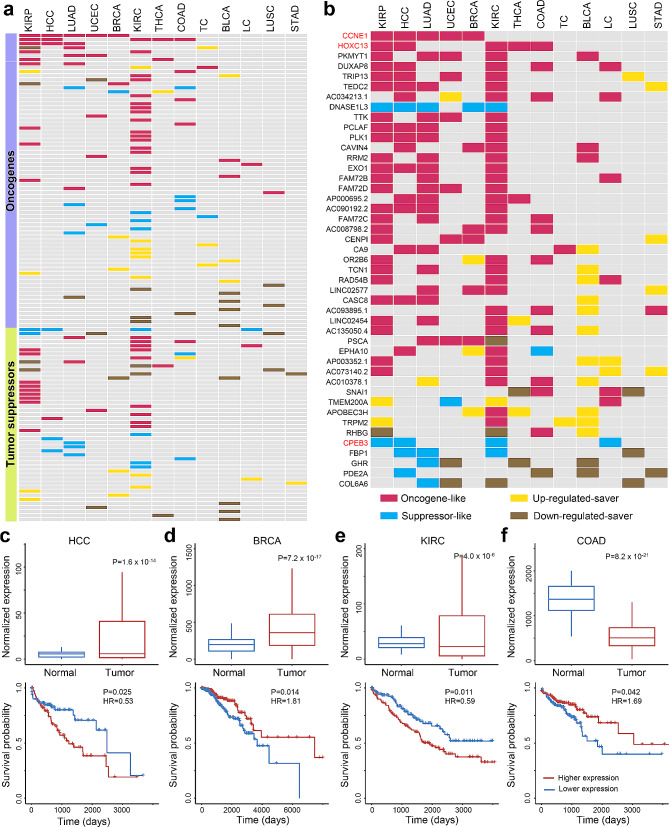 PMC11134716 – Fig2