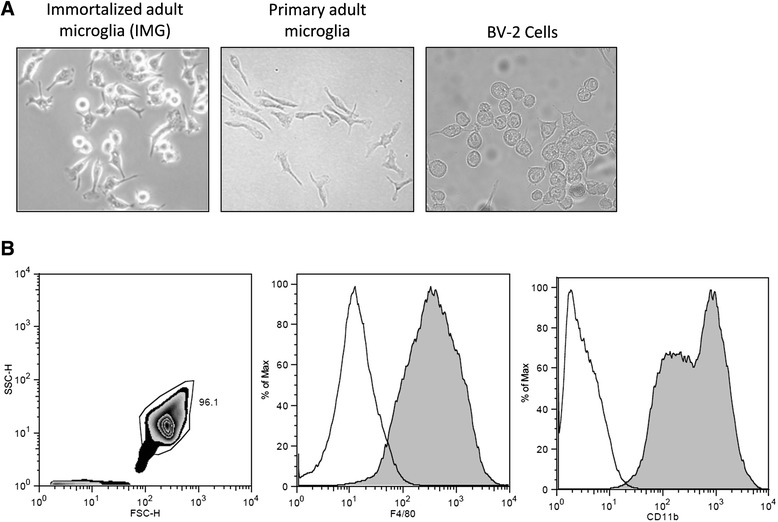 PMC4730646 – Fig1