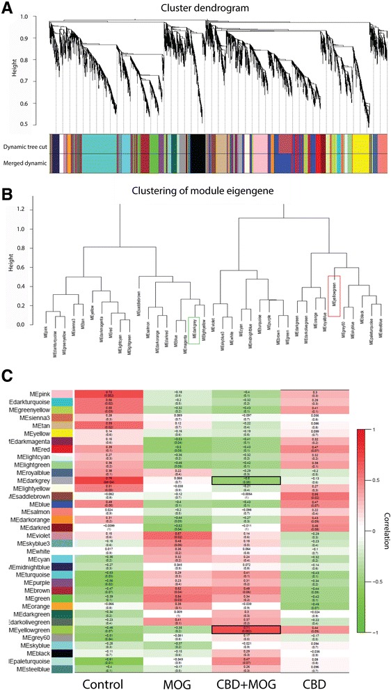 PMC4891926 – Fig6