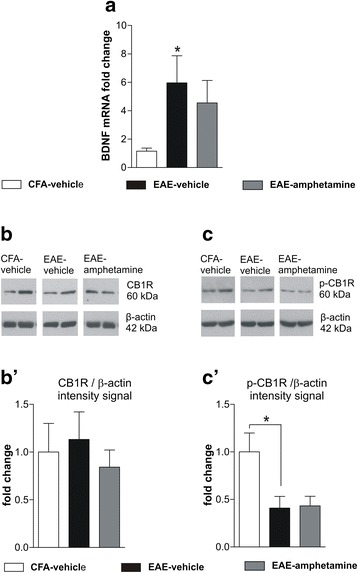 PMC5009553 – Fig4