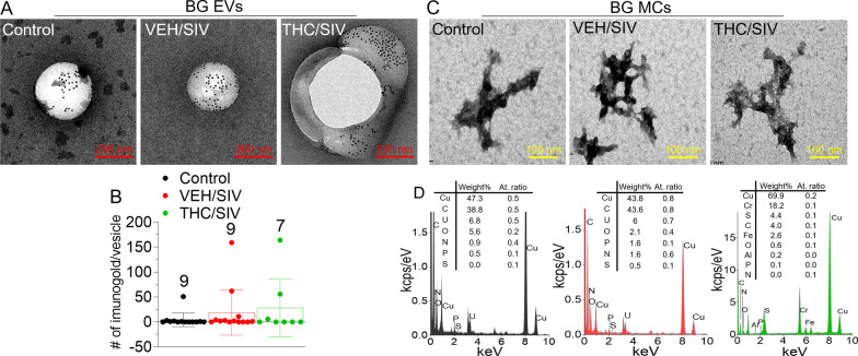 PMC9469539 – Fig2