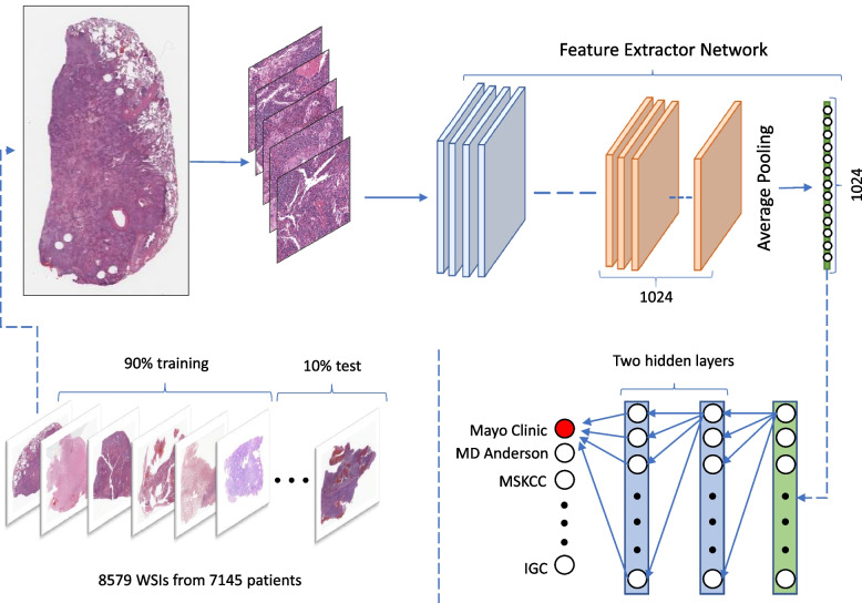 PMC10189924 – Fig1