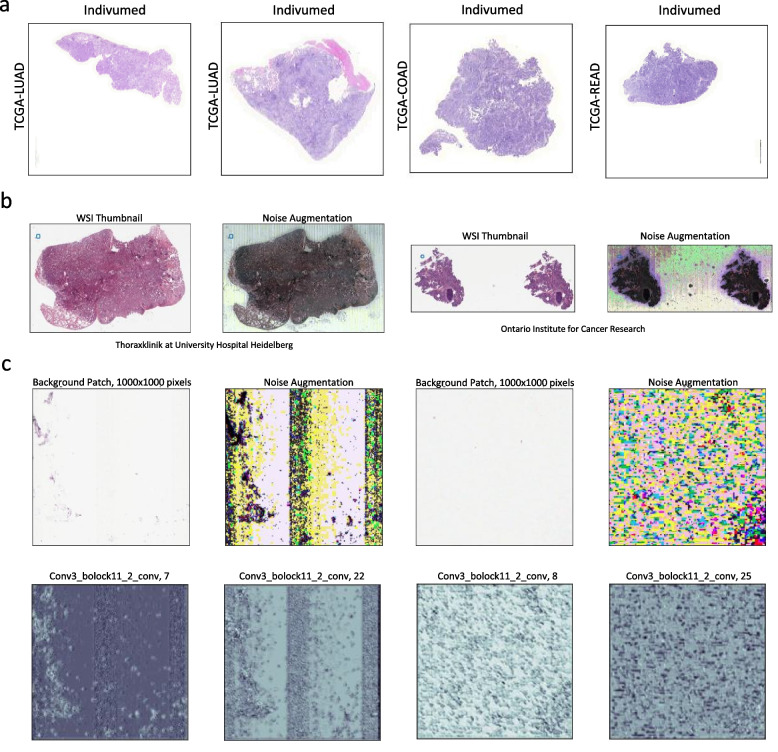 PMC10189924 – Fig6