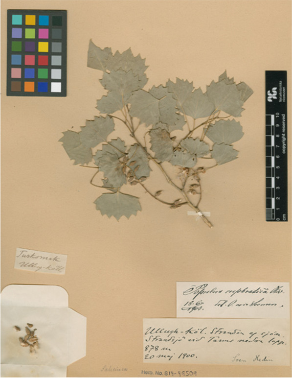 PMC10895719 – Fig11