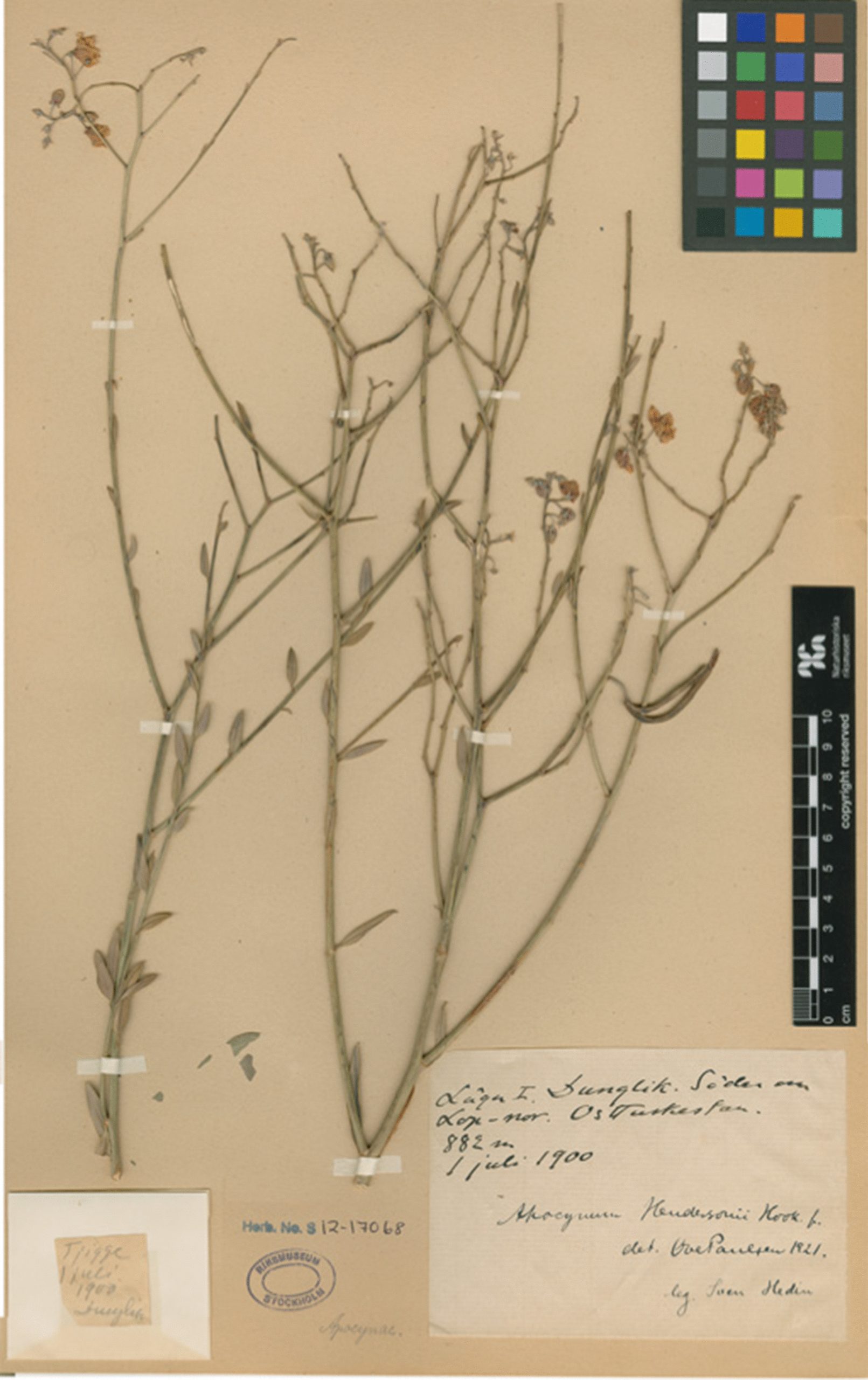 PMC10895719 – Fig13