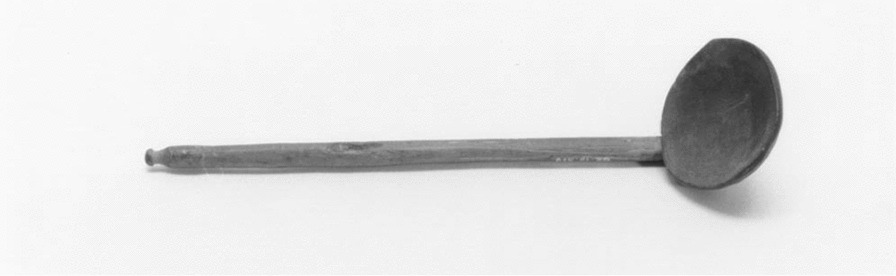 PMC10895719 – Fig18