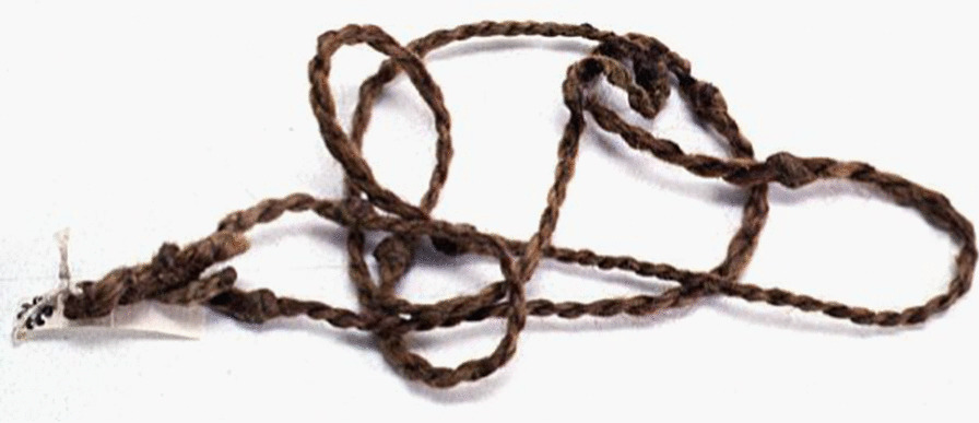 PMC10895719 – Fig19