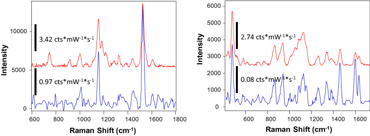 PMC8281483 – Fig2