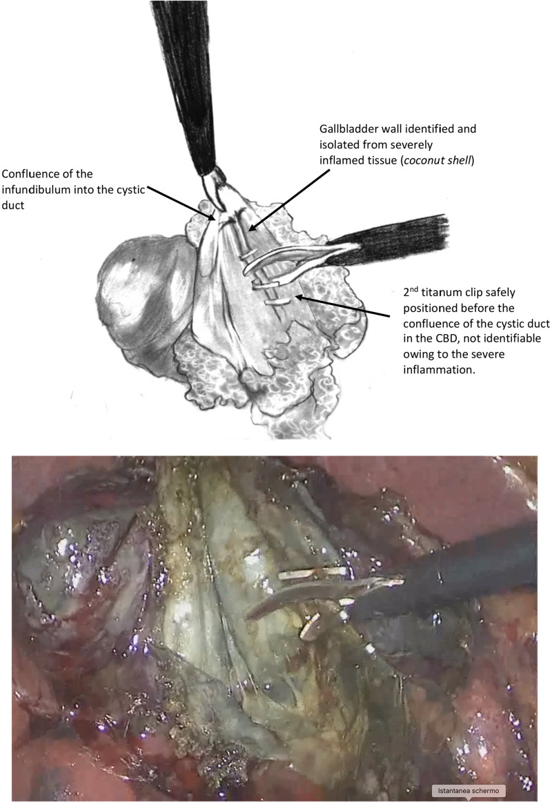 PMC10822154 – Fig2