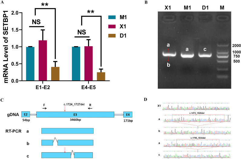 PMC10165755 – Fig3