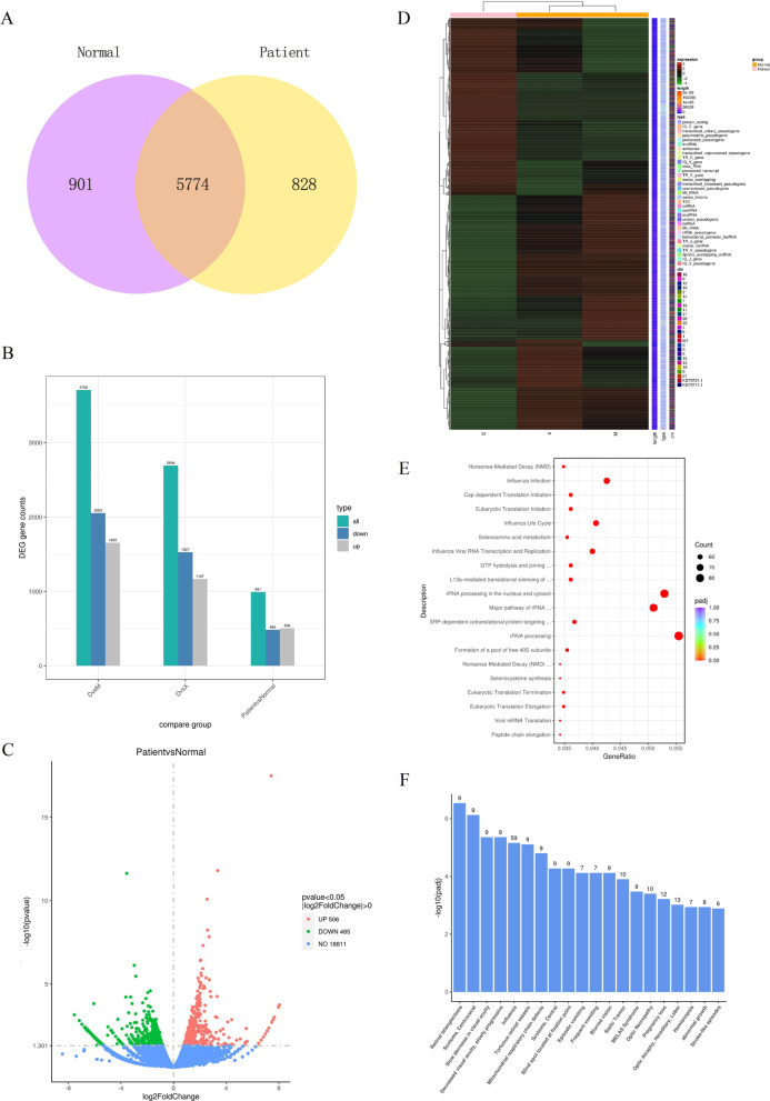 PMC10165755 – Fig4