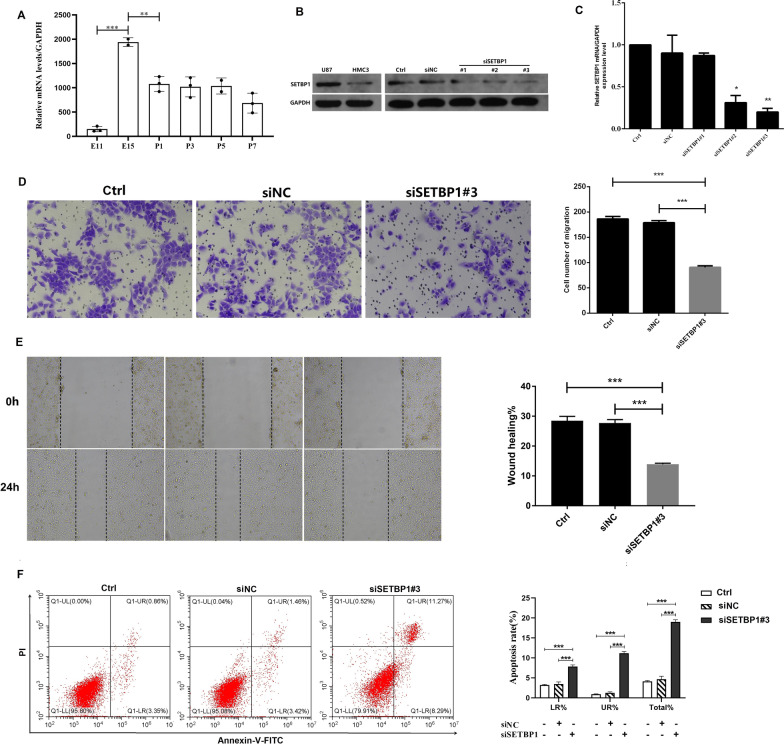PMC10165755 – Fig5