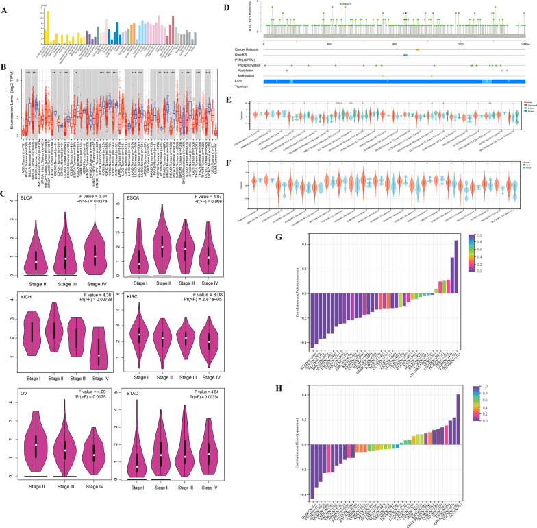 PMC10165755 – Fig6
