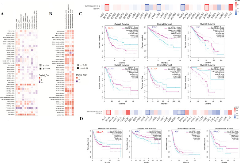 PMC10165755 – Fig7