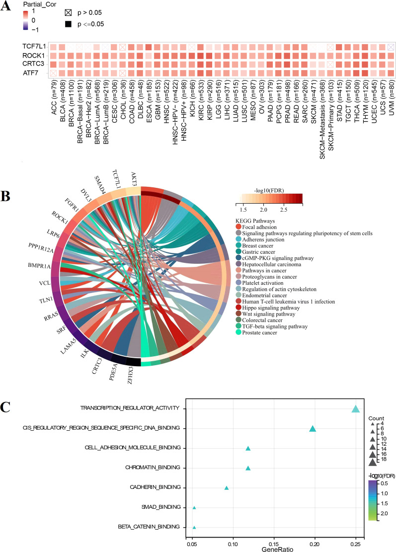 PMC10165755 – Fig8