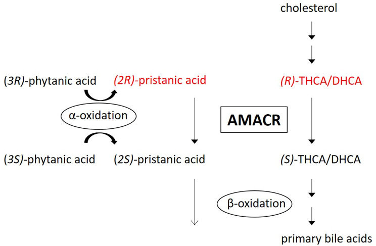 PMC11421175 – Fig1