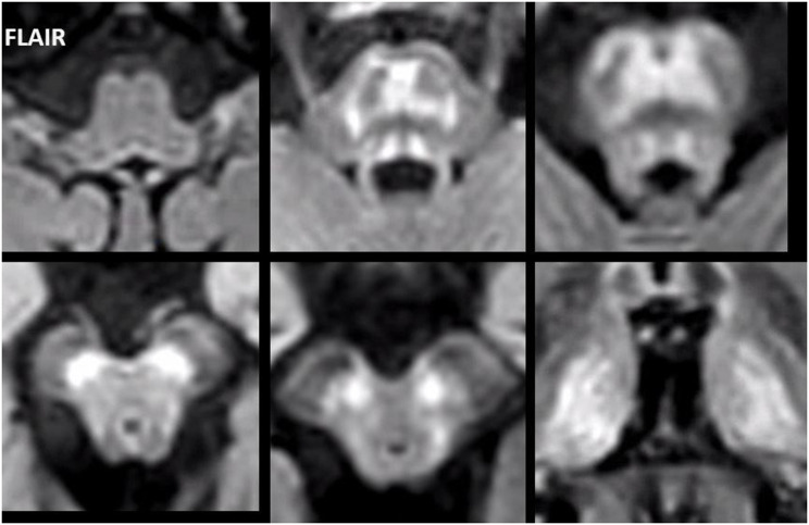 PMC11421175 – Fig2
