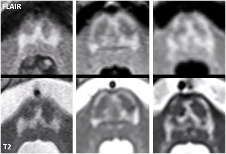 PMC11421175 – Fig3