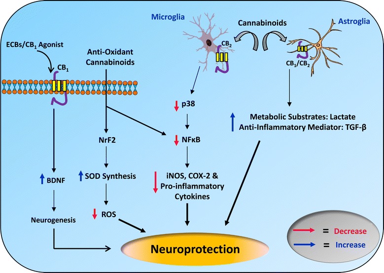 PMC4404240 – Fig2