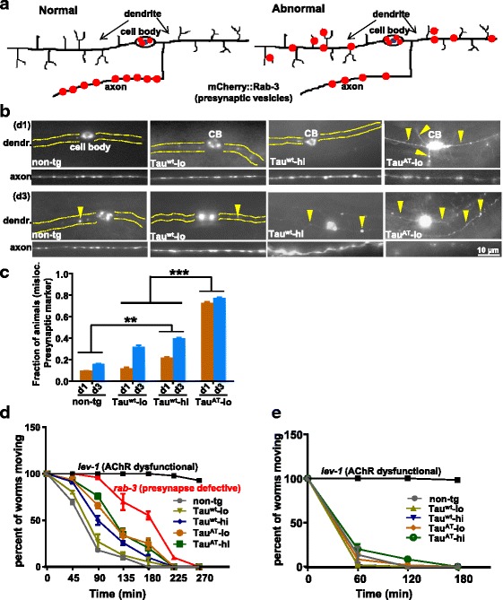 PMC4847334 – Fig5