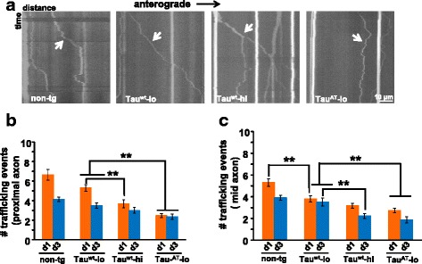PMC4847334 – Fig7