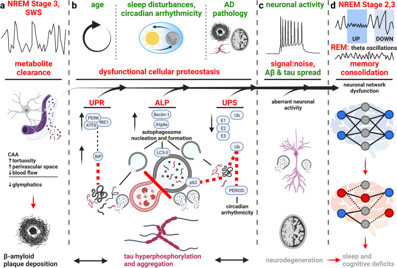 PMC10119020 – Fig3