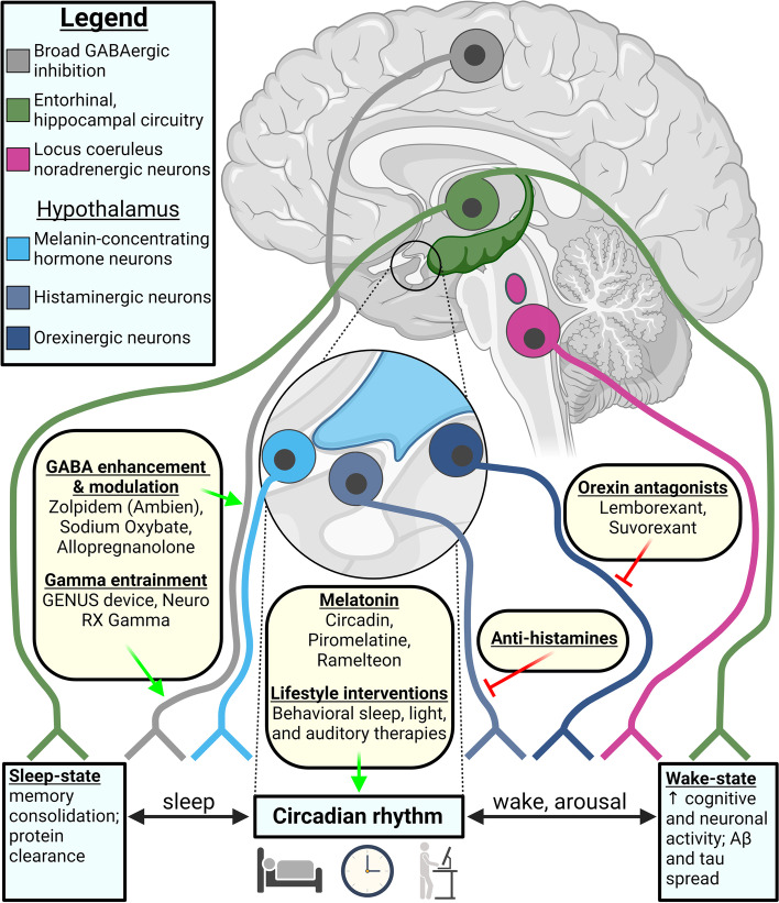 PMC10119020 – Fig4