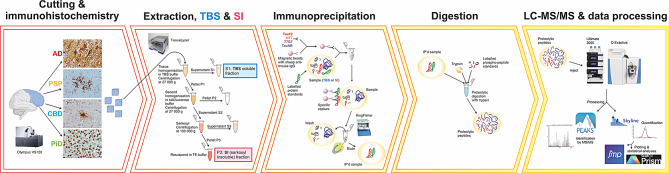 PMC11264707 – Fig1