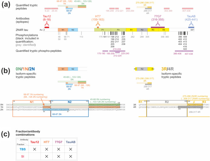 PMC11264707 – Fig2