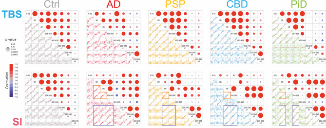 PMC11264707 – Fig6