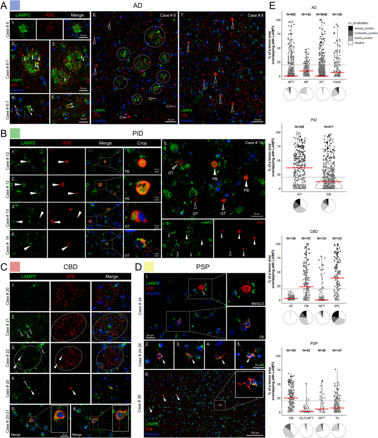 PMC11905455 – Fig5