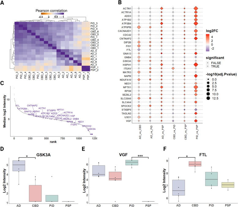 PMC11905455 – Fig6