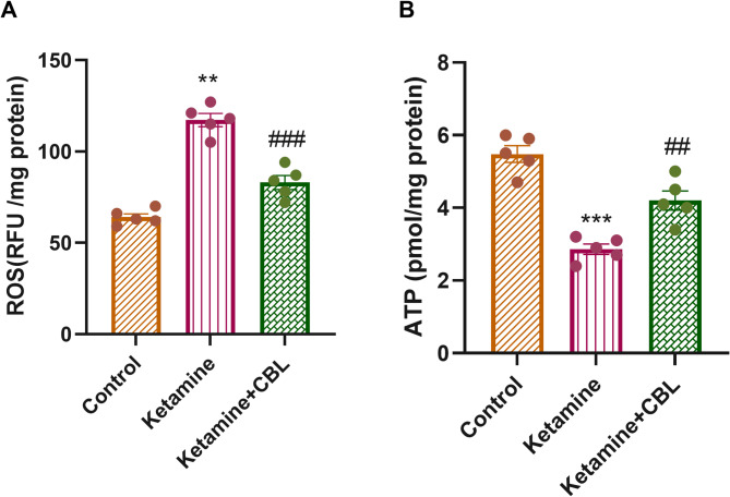 PMC12595893 – Fig4