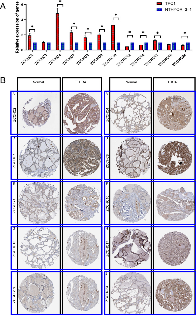 PMC10580525 – Fig9