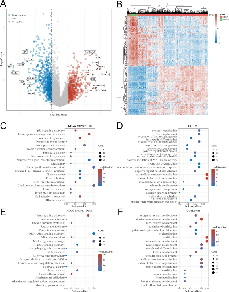 PMC10580525 – Fig1