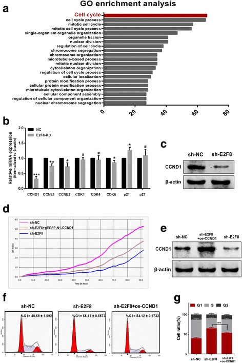 PMC5341194 – Fig4