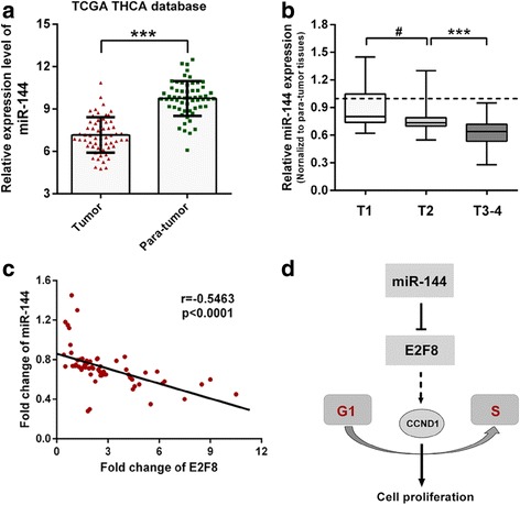PMC5341194 – Fig8