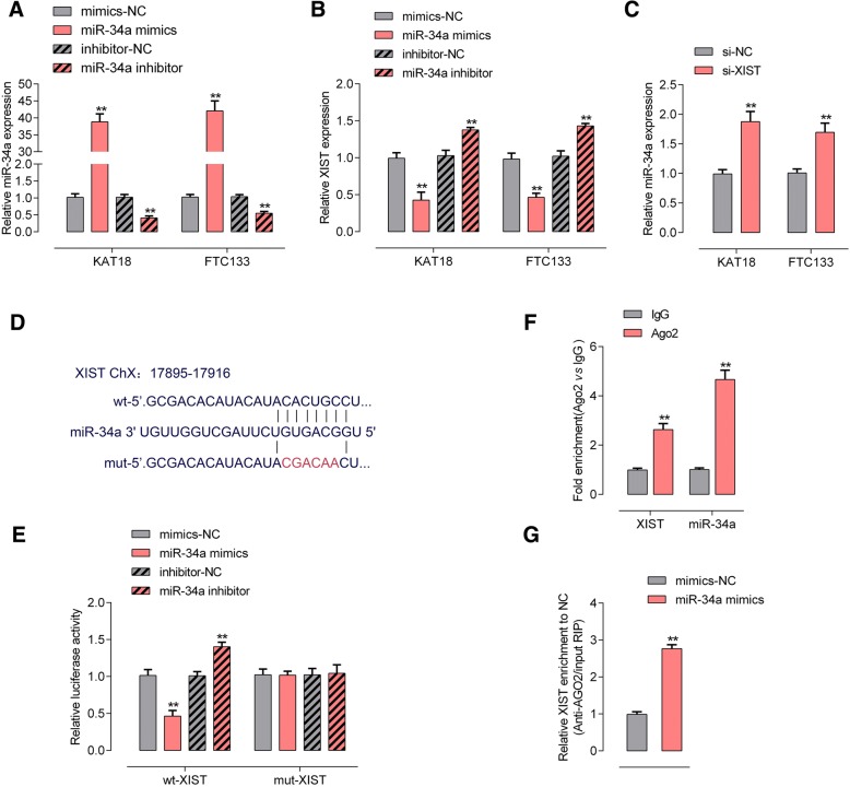 PMC6249781 – Fig4