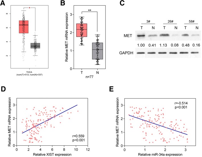 PMC6249781 – Fig6