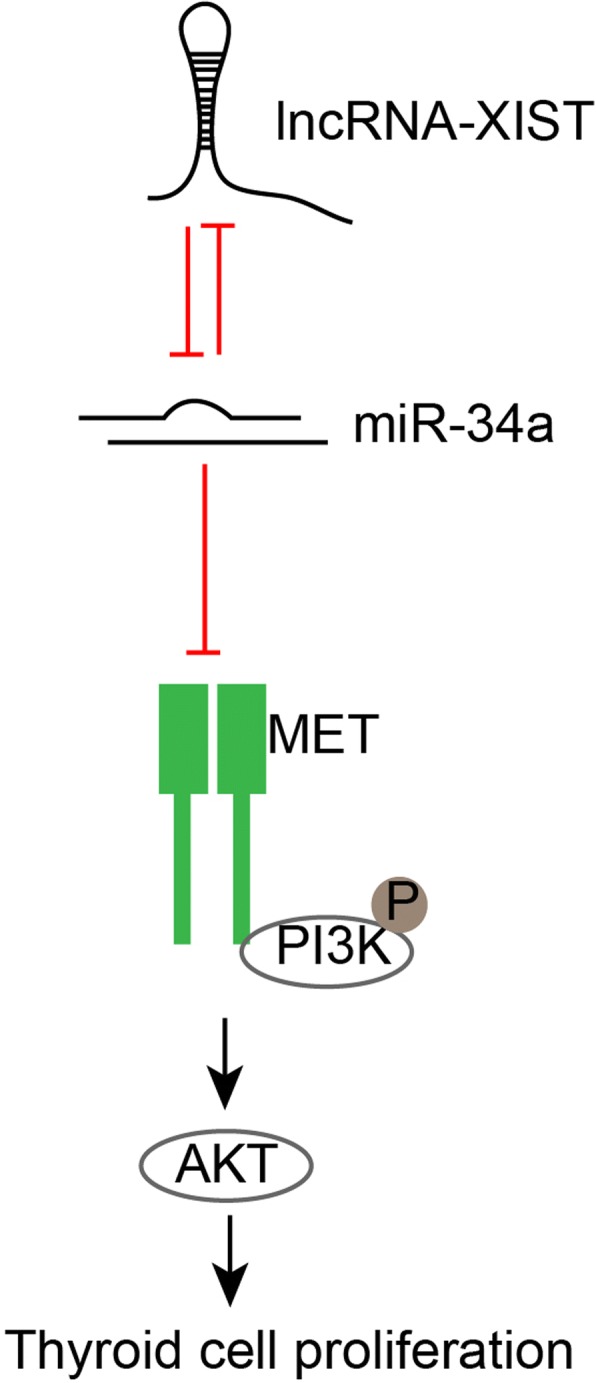PMC6249781 – Fig7