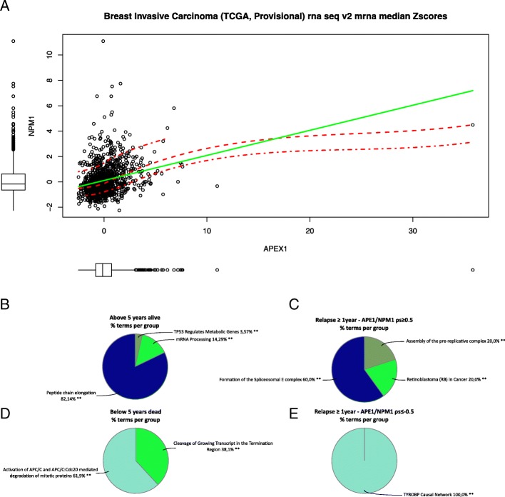 PMC6631760 – Fig11