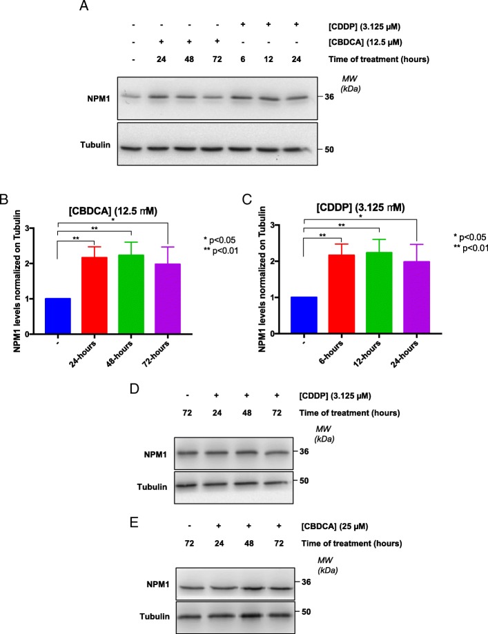 PMC6631760 – Fig4
