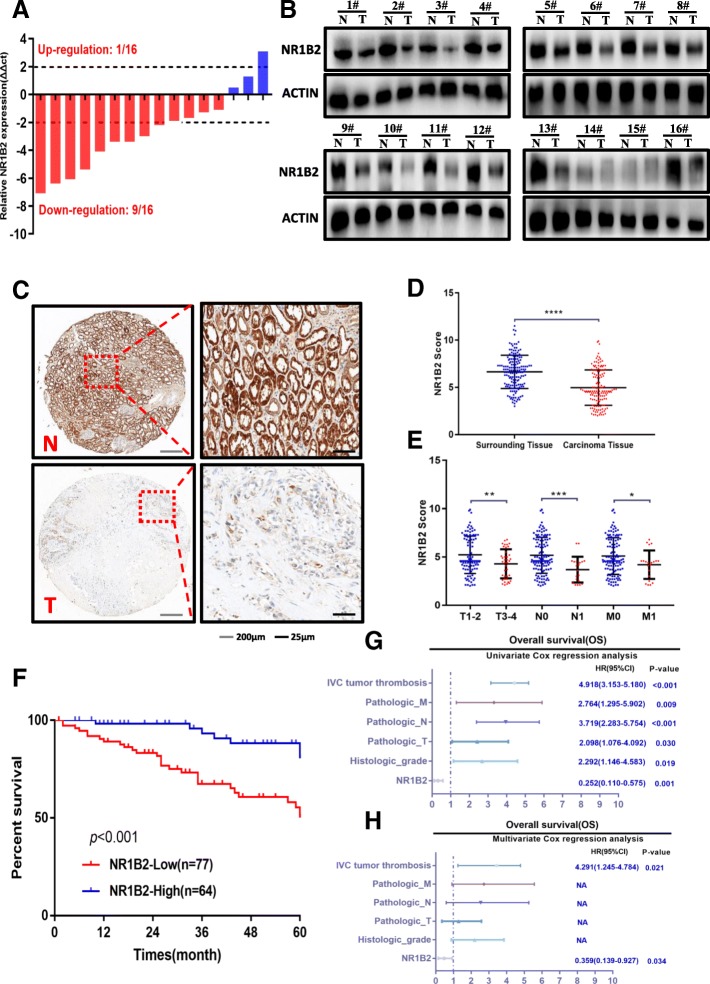 PMC6686564 – Fig2