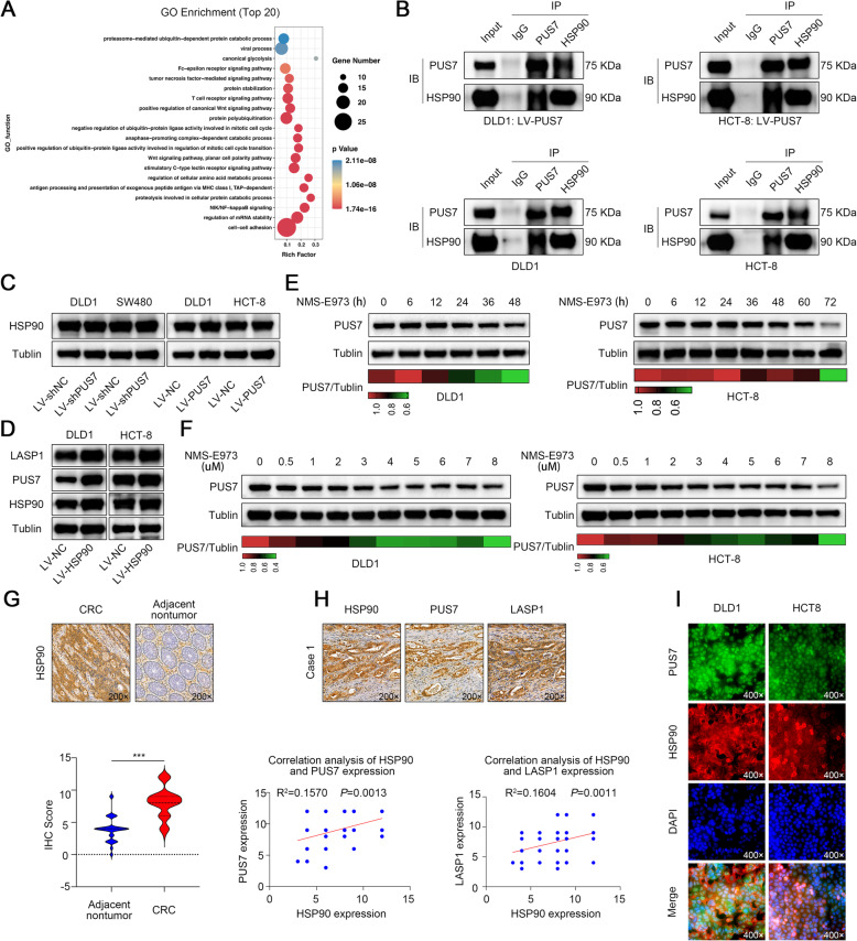 PMC8120699 – Fig6