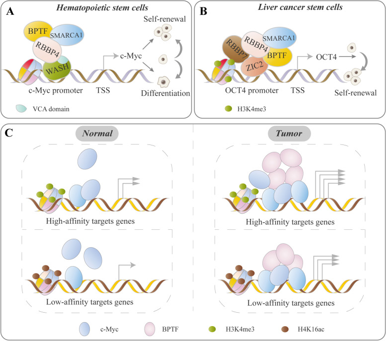 PMC8567610 – Fig3