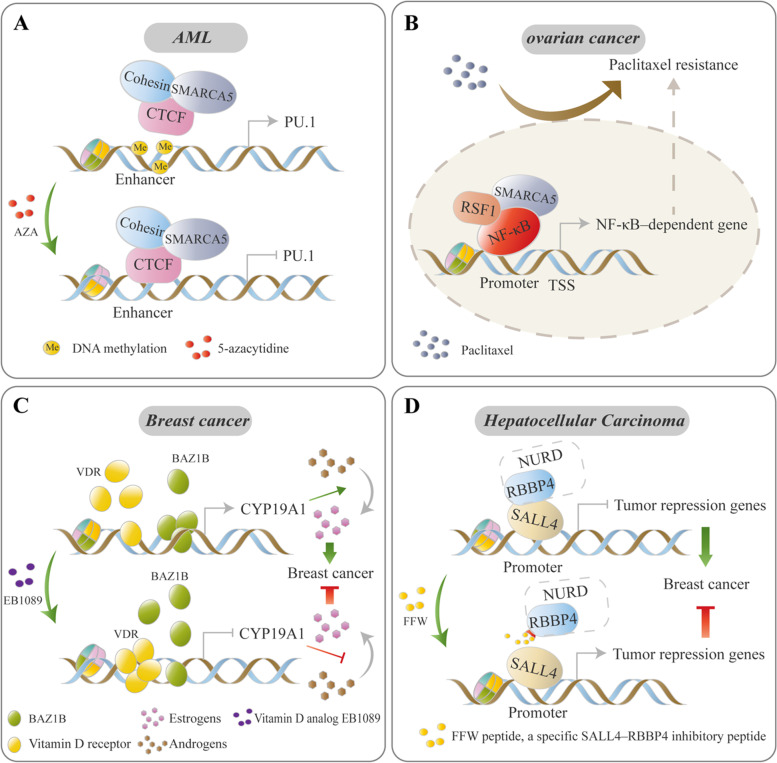 PMC8567610 – Fig4