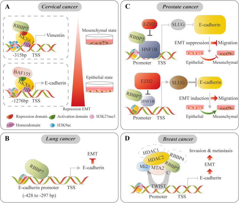 PMC8567610 – Fig5